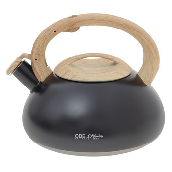 Czajnik 3,0L FIORELLO/OD2120