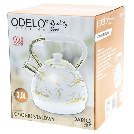 Czajnik Stalowy Tradycyjny 3,0L DARIO biały złoty/OD2113