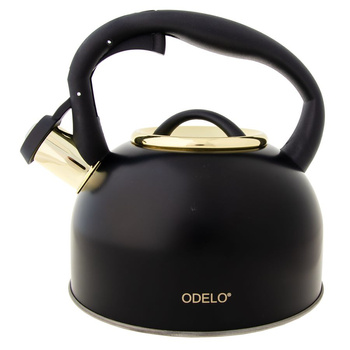 Czajnik CZARNY ZŁOTY 2,5l z gwizdkiem do gotowania na kuchenkę gaz indukcję