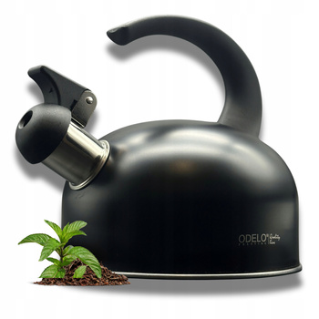 Czajnik 1,5L CARLO czarny/OD2075