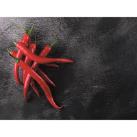 Deska do krojenia szklana 30x40cm CLARA 4mm/DI7510